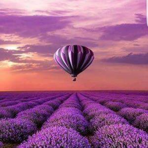 Meet your Posher, Arenda